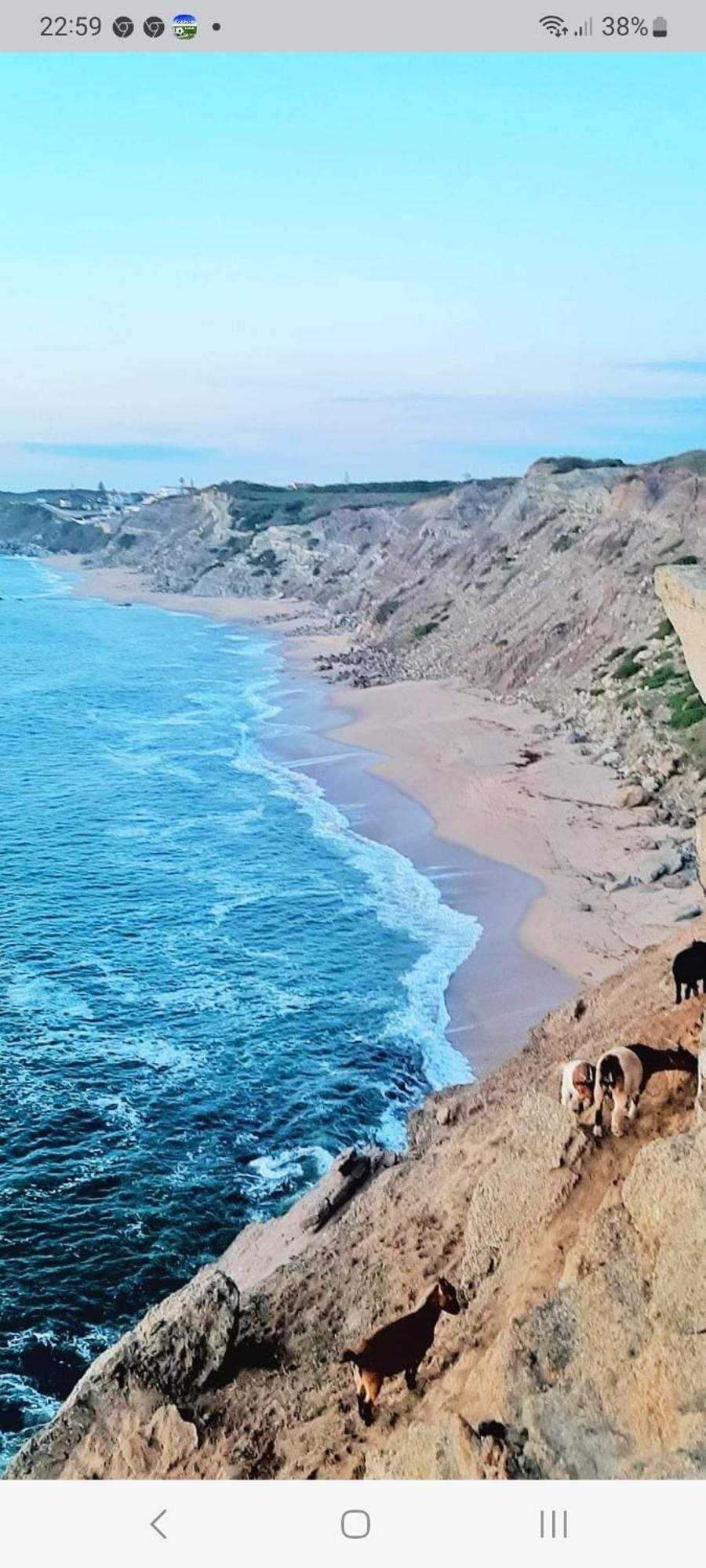 Casa Do Portao Azul - Espadarte Atouguia Da Baleia Luaran gambar